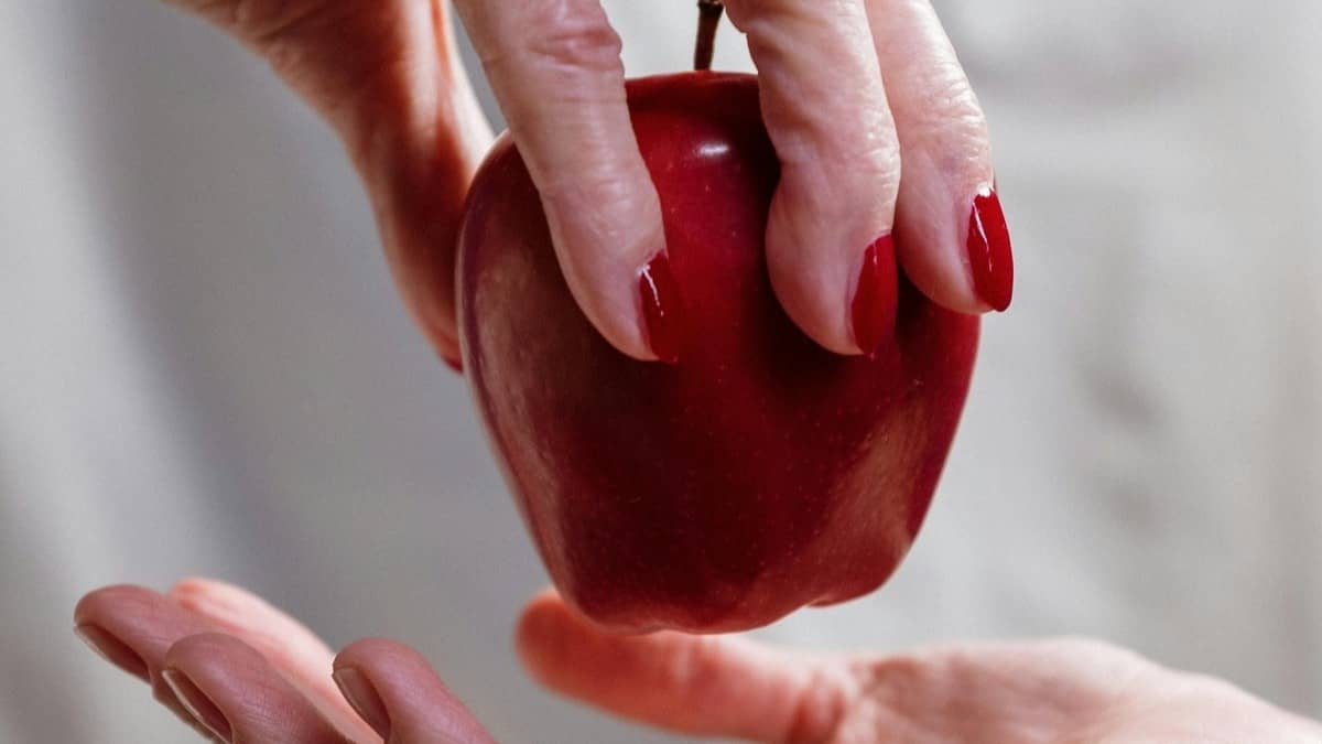 Description of the pic