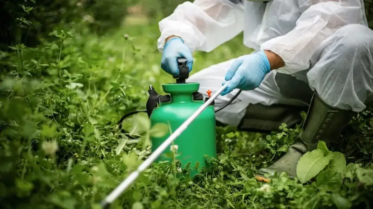The Rising Concern of Pesticides in Agriculture and the Need for Safer Food