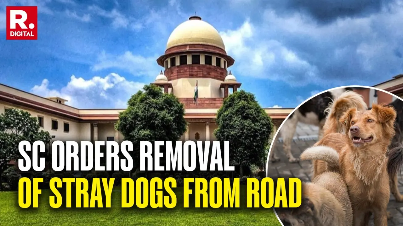 The Supreme Court on Friday ordered all states and UTs to ensure the removal of all stray dogs from every educational institution, hospital, public sports complexes, bus stands, railway stations, etc.