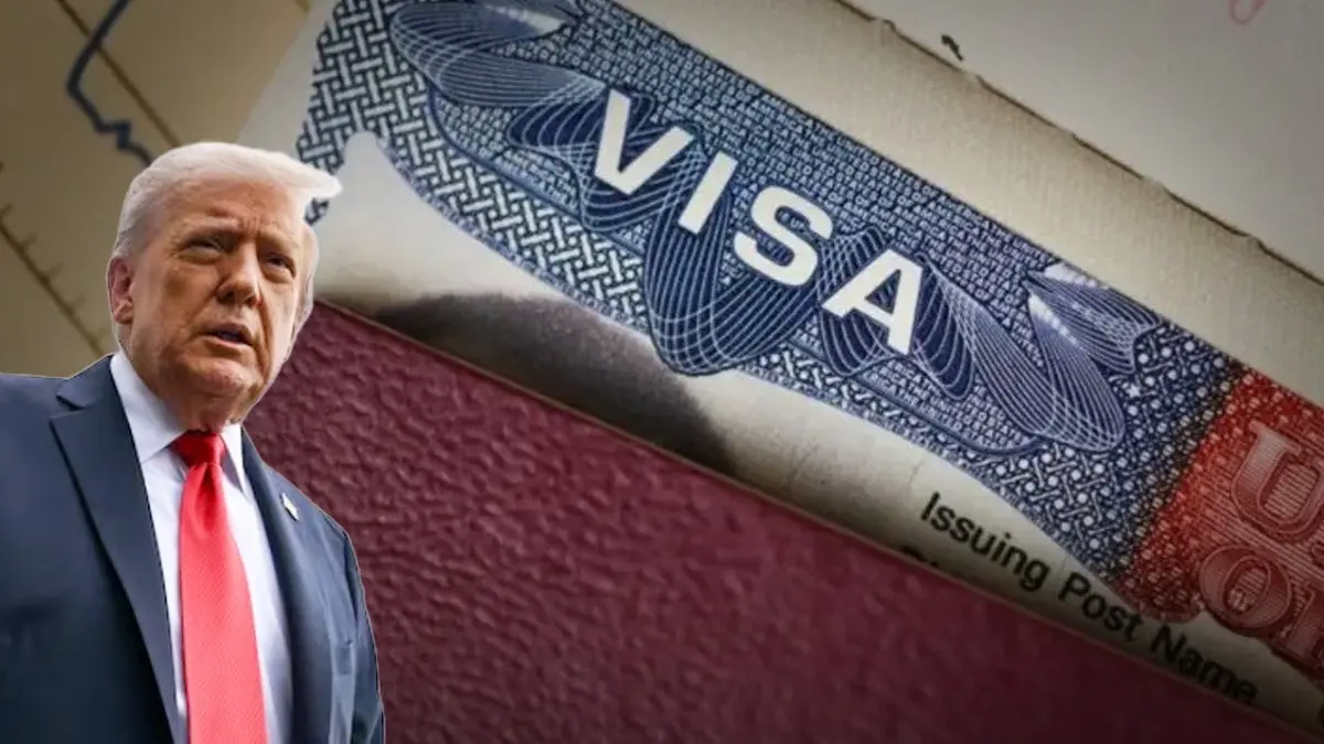 US Revokes Visas Of Indian Executives, Kin Over Drug Trafficking The US Embassy has, however, has not named any individual in the statement issued on Thursday.