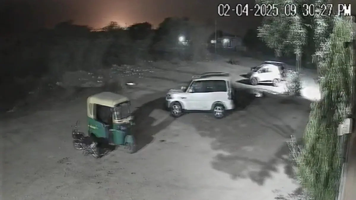 The video captures the jet plummeting behind the trees, followed by a bright flash of light moments after the crash.