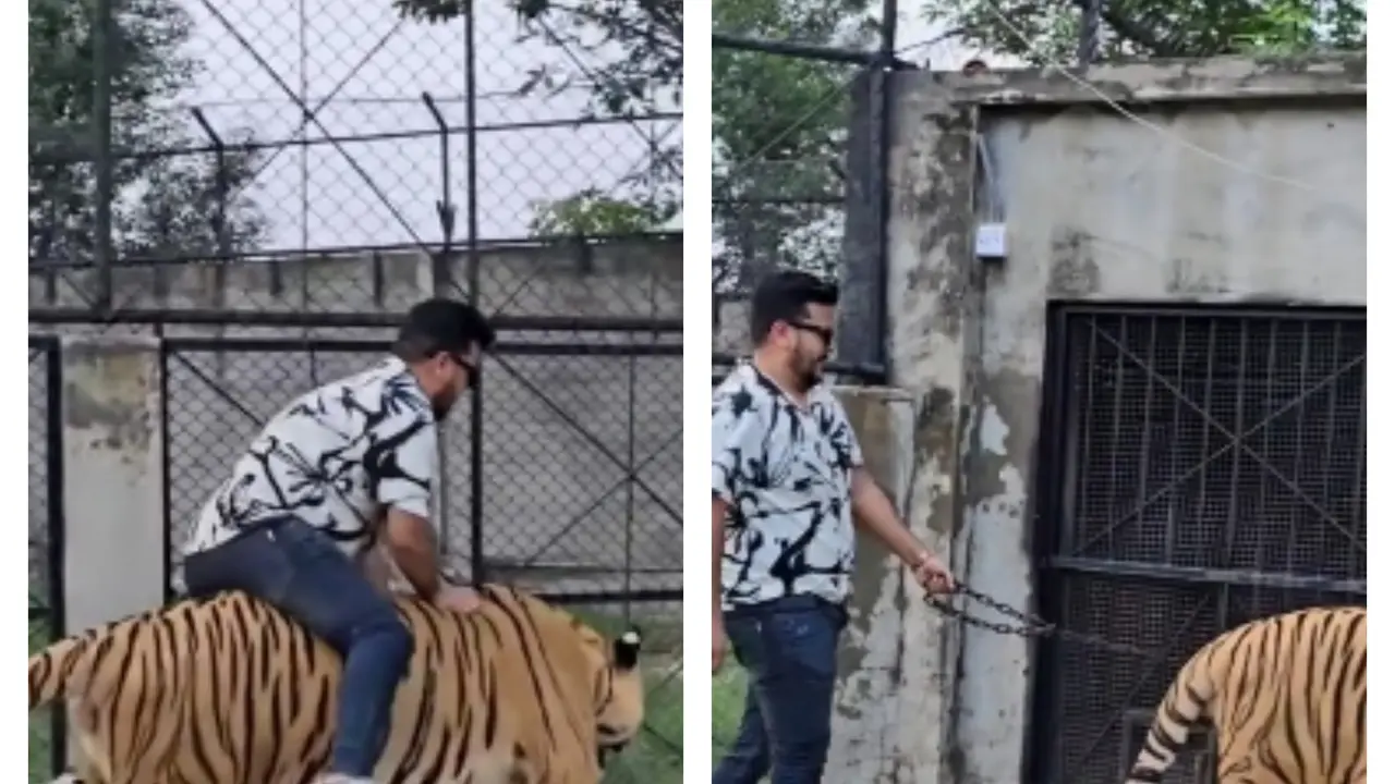 The video was shared by digital creator Nouman Hassan and amassed over 100,000 views.