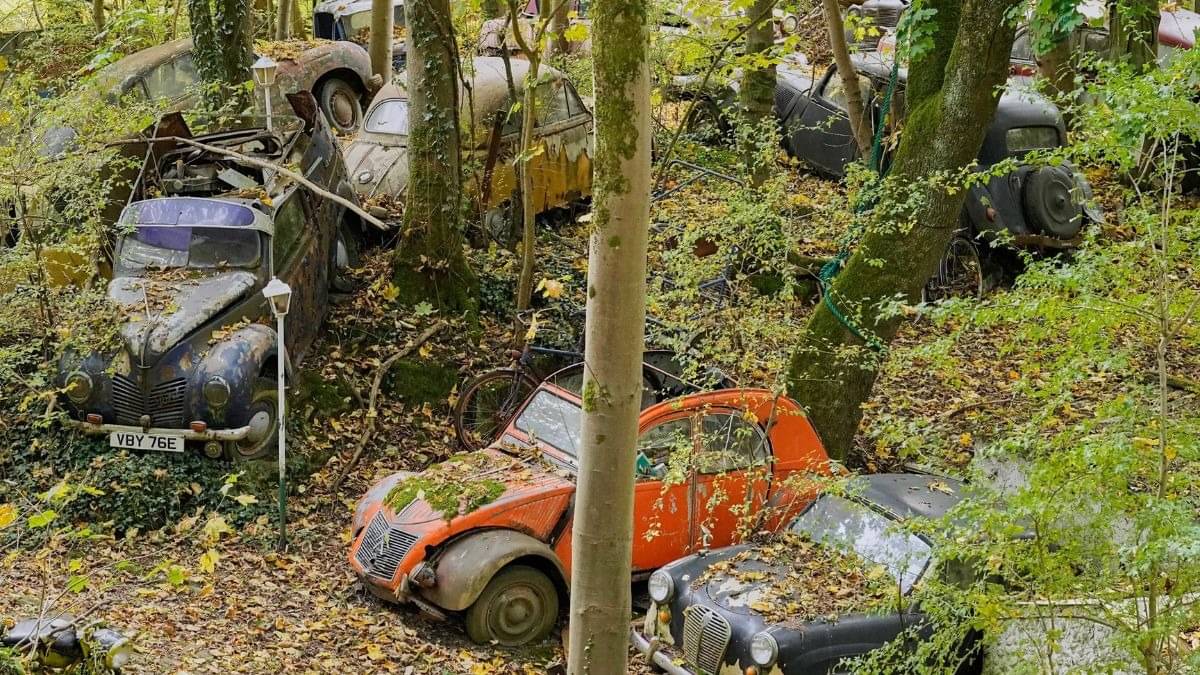 Description of the pic