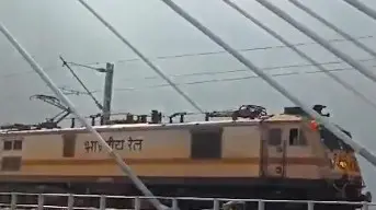 A woman died after being hit by a train