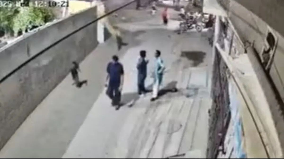 Terror on the Streets: Pet Lion Escapes, Mauls Family in Lahore | WATCH The woman and her children suffered multiple injuries, none of them are reported to be in critical condition. Medical officials are monitoring their recovery.