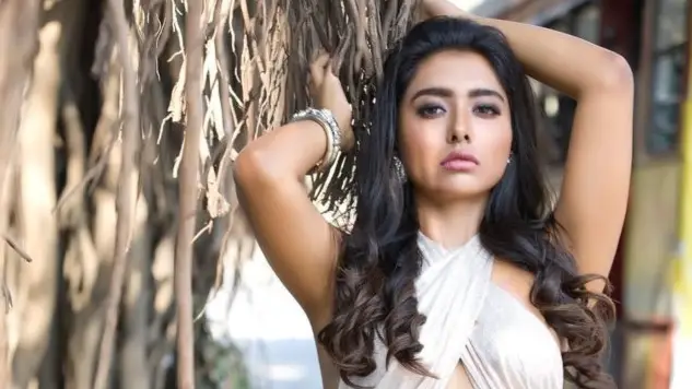 Description of the pic