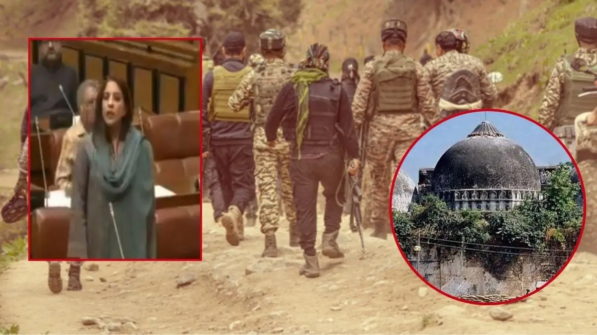 'Their End is Near': Netizens Tear into Pak Senator Over 'New Babri Mosque in Ayodhya' Comment 'Their End is Near': Netizens Tear into Pak Senator Over 'New Babri Mosque in Ayodhya' Comment