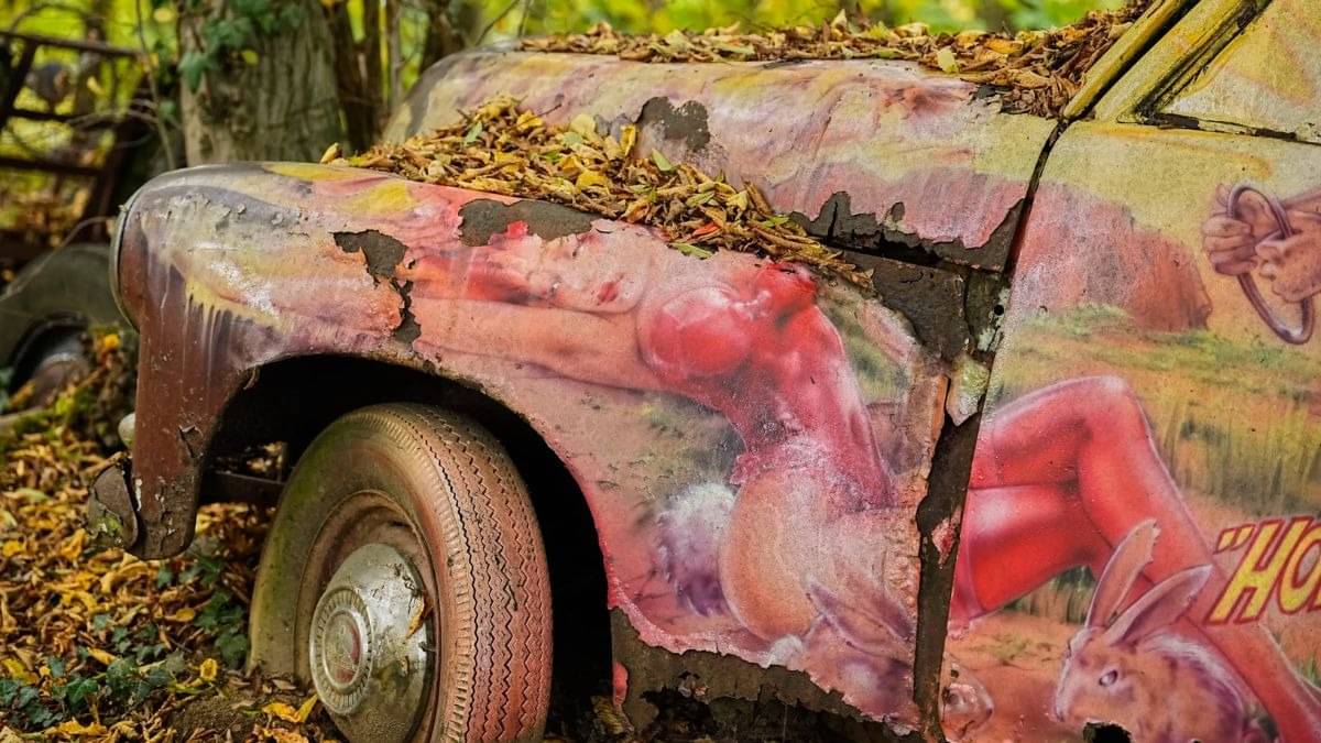 Description of the pic