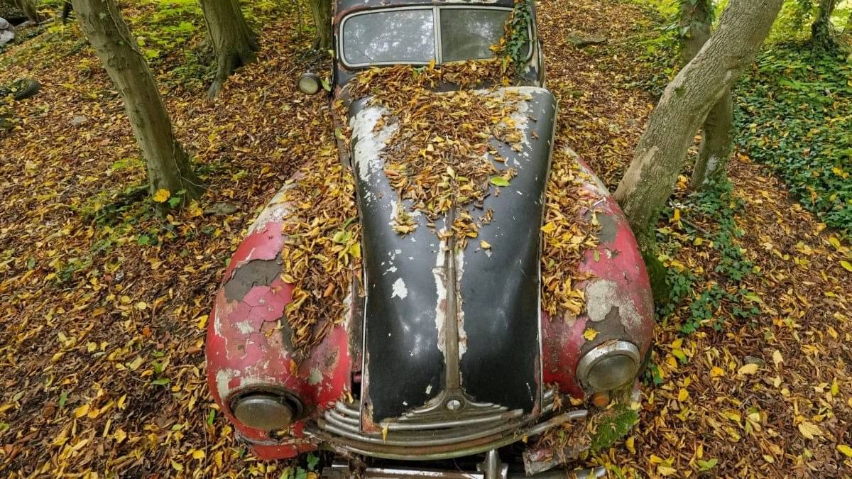 Description of the pic