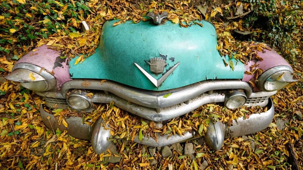 Description of the pic