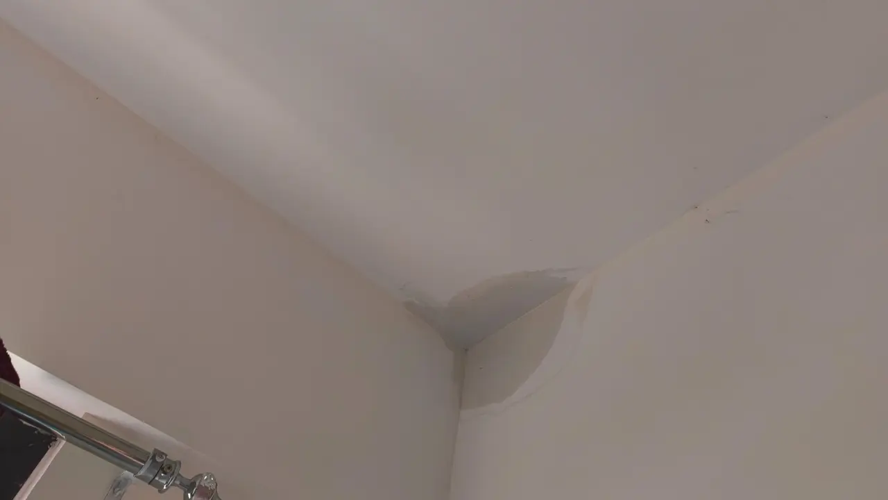 ‘These Expensive Buildings Are…’: Bengaluru Techie Shows Water Leakage in Rs 1.5 Crore Apartment ‘These Expensive Buildings Are…’: Bengaluru Techie Shows Water Leakage in Rs 1.5 Crore Apartment