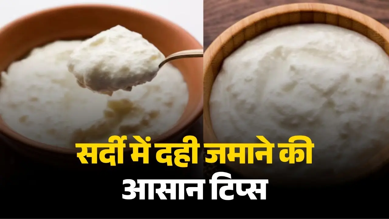 thick-curd-in-winter-easy-trick-to-set-curd-perfectly-in-cold-season