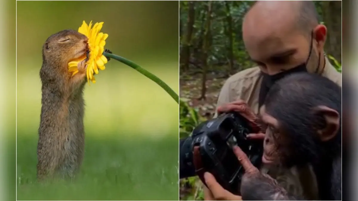 This Wildlife Meet-up Is Surely Going To Make Your Sunday