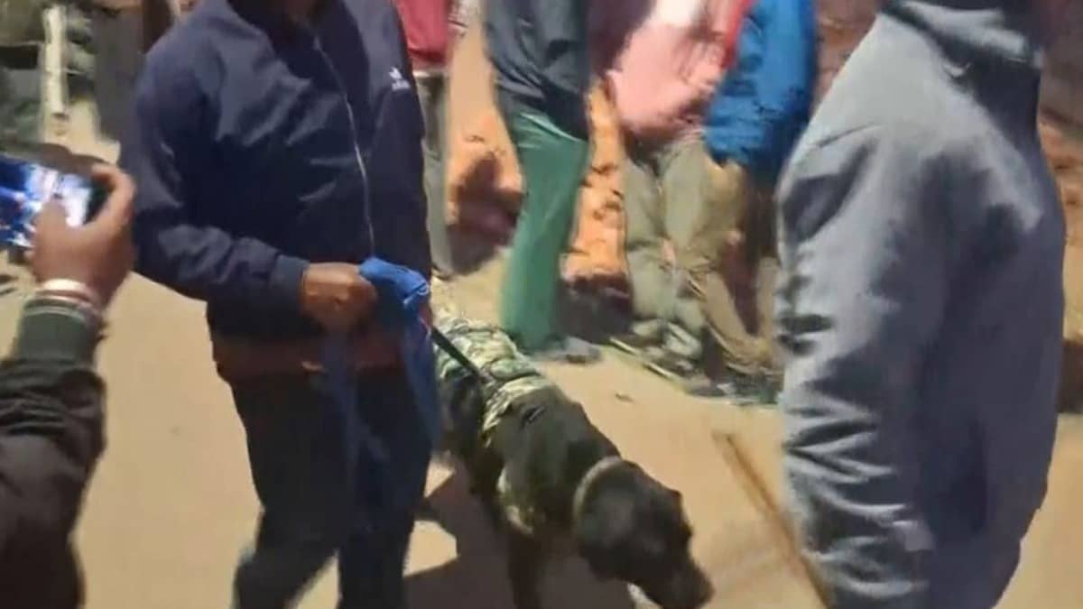 Three Killed in Blast in Jharkhand's Hazaribagh, Forensic Teams Rushed To Spot