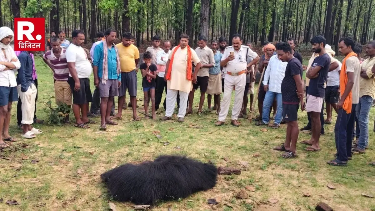 Three people died tragically in a wild bear attack in Sidhi