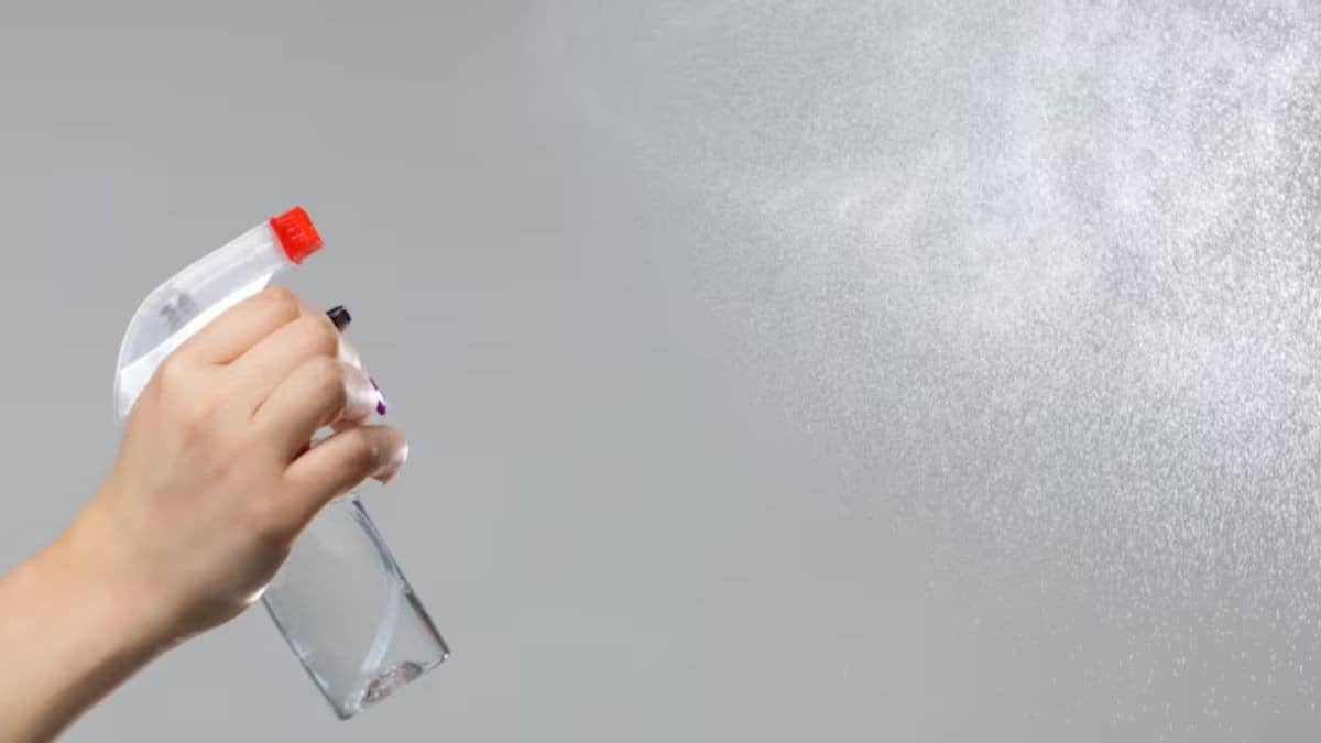 Description of the pic