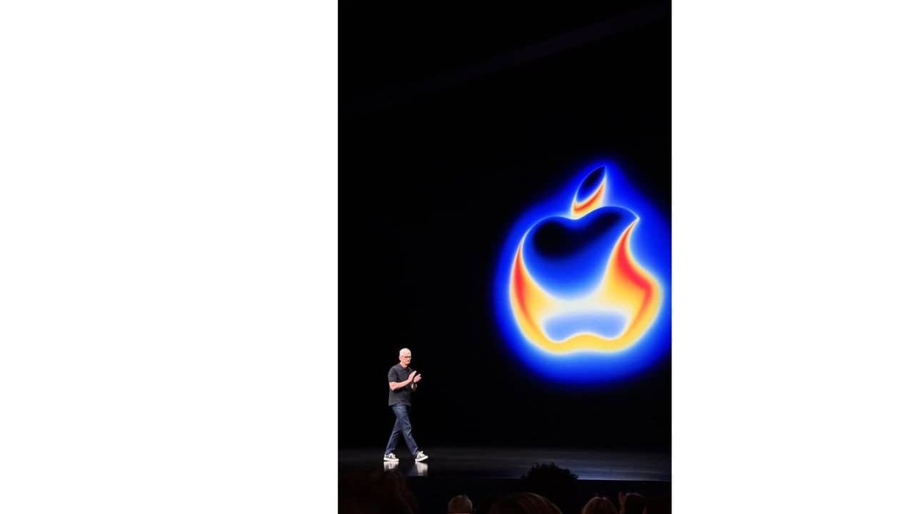 Description of the pic