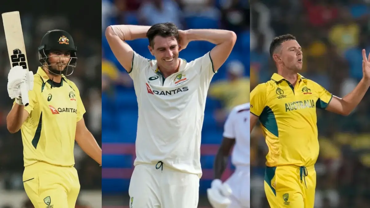 Tim David, Pat Cummins and Josh Hazlewood