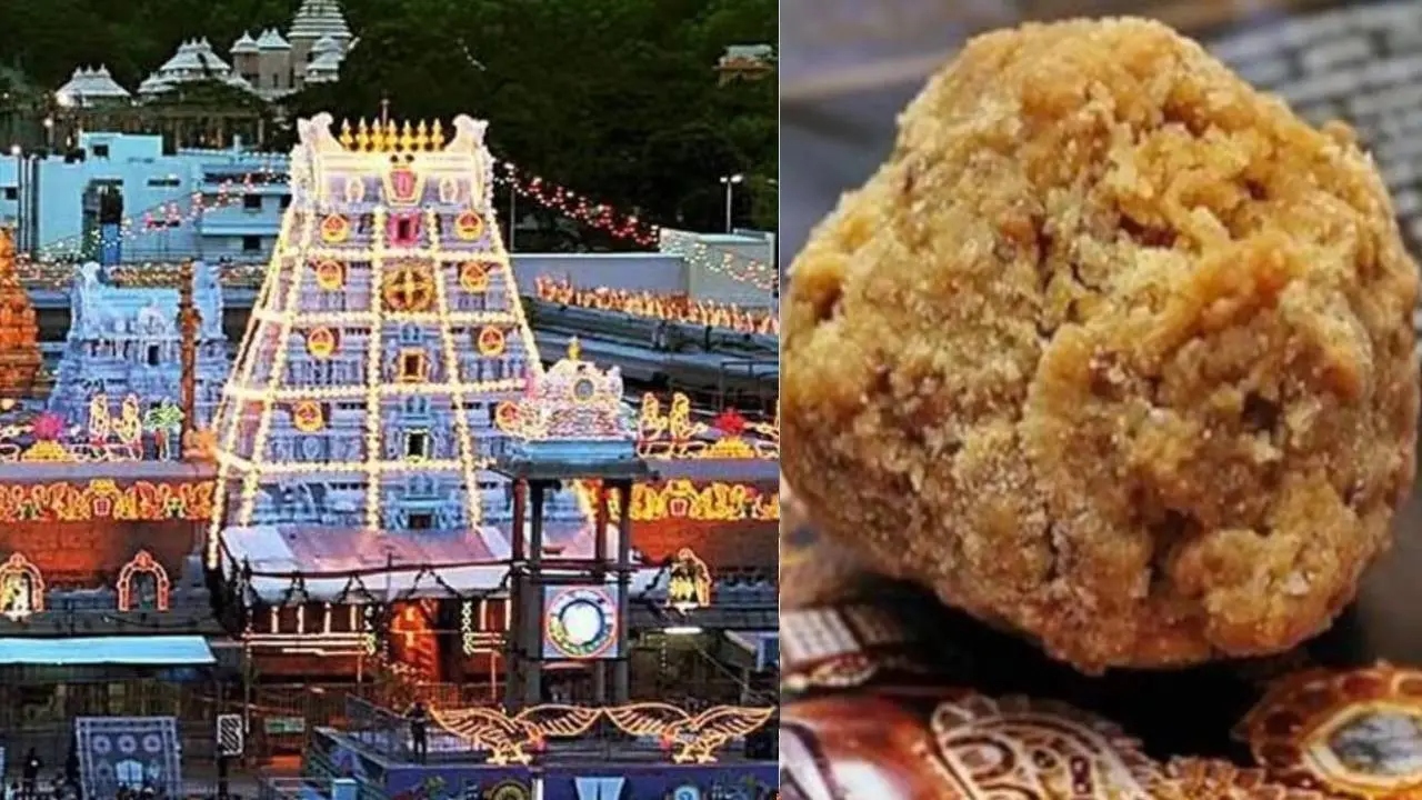 tirupati mandir laddu controversy
