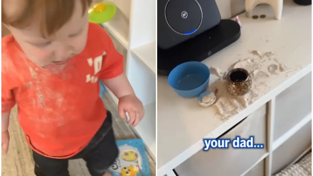 'Did He Really Eat That?': Toddler Eats Grandfather’s Ashes, Mom's Mortified Reaction Goes Viral | Watch Toddler Eats Grandfather’s Ashes, Mom's Mortified Reaction Goes Viral | WATCH