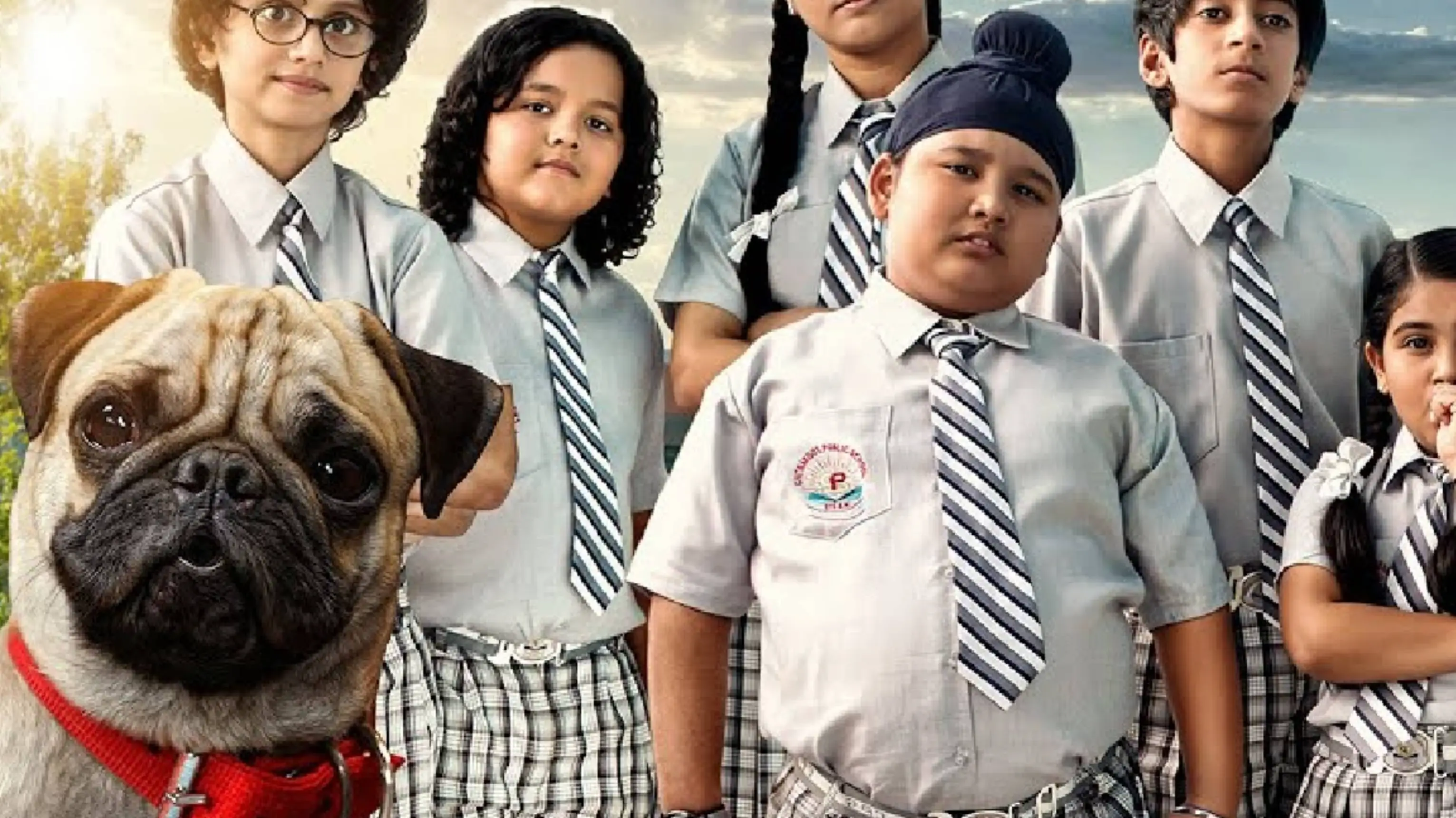 Description of the pic