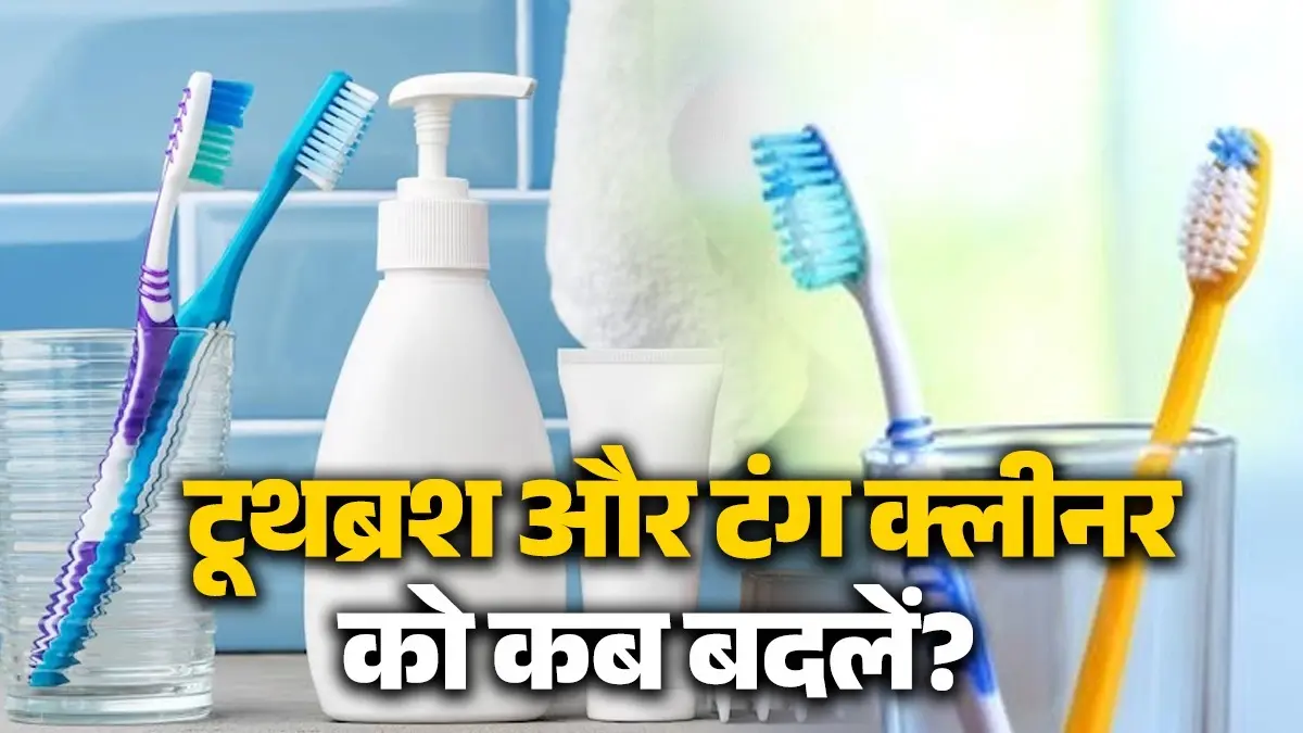 Toothbrush And Tongue Cleaners: पुराना टूथब्रश और टंग क्लीनर को कब बदलें? यहां जानें सही समय और कुछ जरूरी टिप्स Toothbrush And Tongue Cleaners