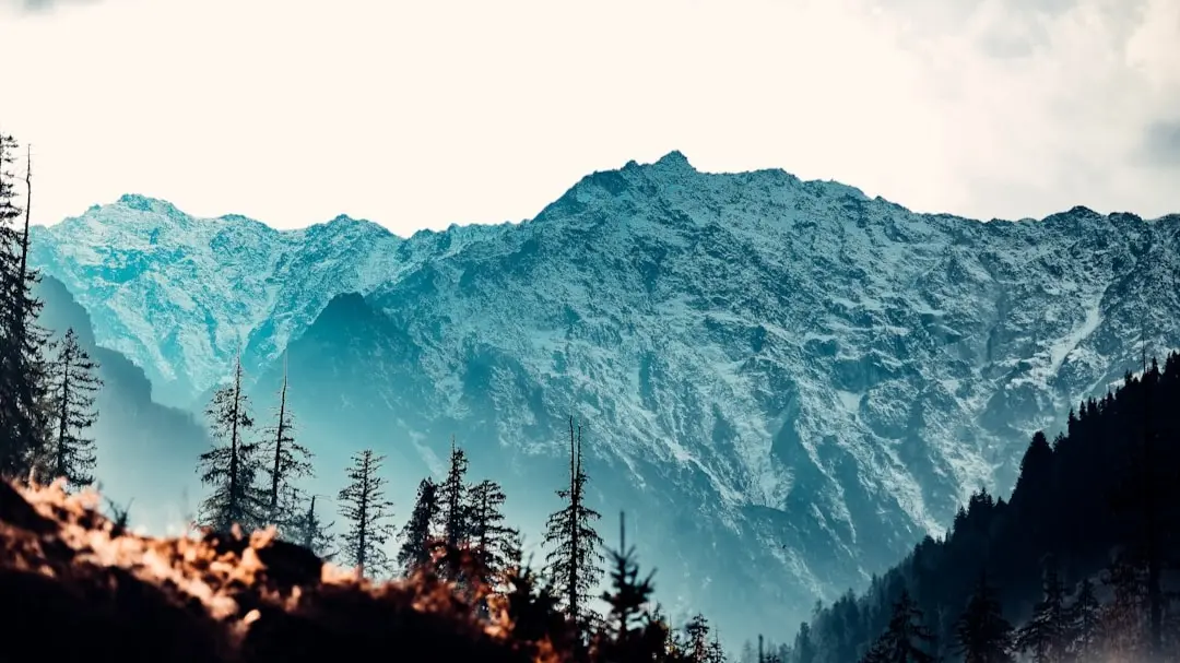 Year Ender 2024: These Are India’s Most Googled Travel Sites Tourist spot that won hearts of Indians in 2024