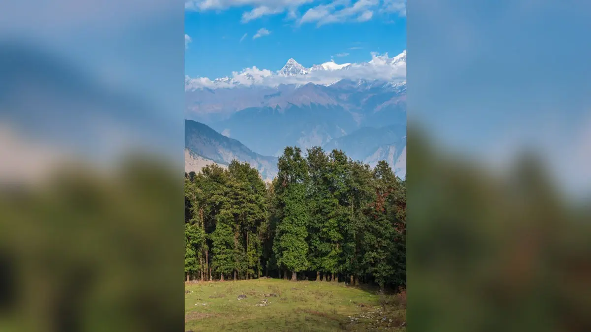 Tourist Spots in J&K Reopen After Pahalgam Terror Attack Tourist Spots in J&K Reopen After Pahalgam Terror Attack