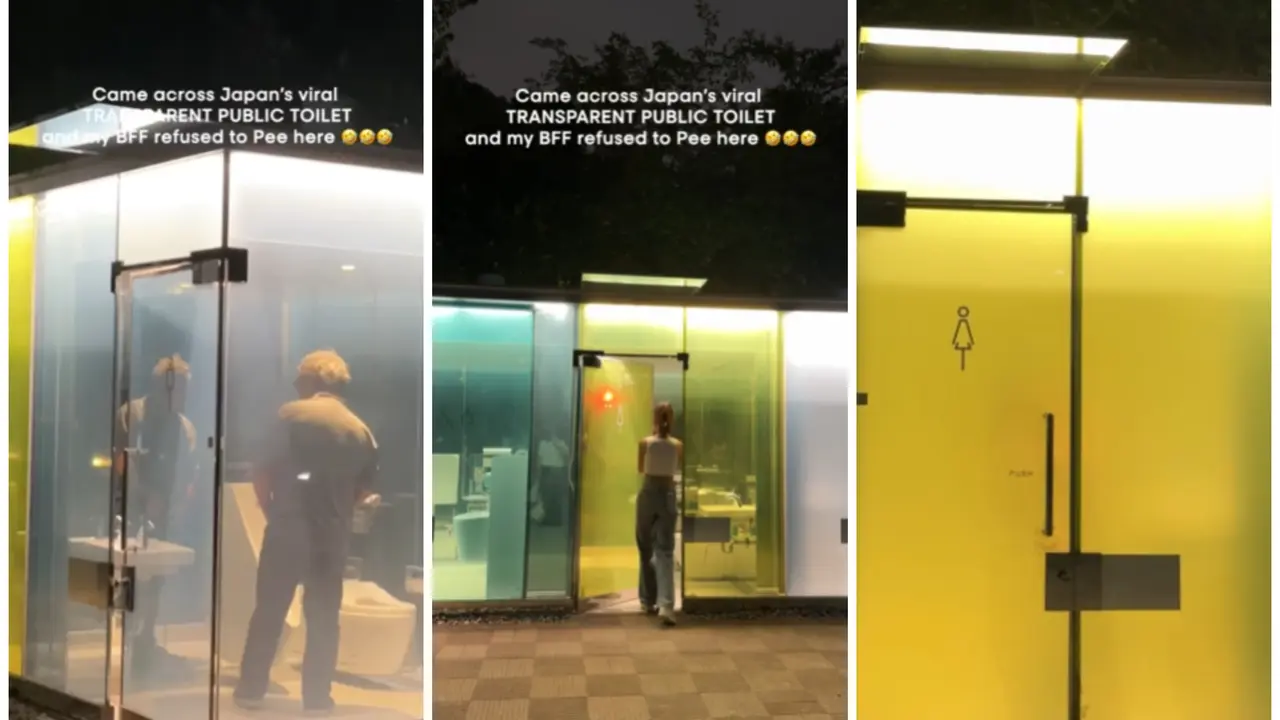 'Would You Pee Here?': Influencer's Video of Transparent Toilets in Japan Goes Viral transparent tiolets