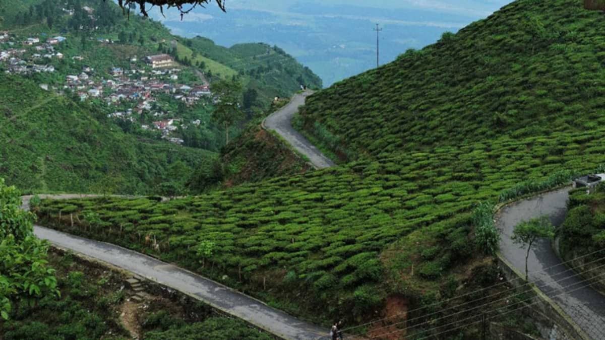 Travel on New Year's to these lesser crowded places in India