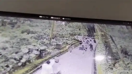 Bali’s Monkey Forest