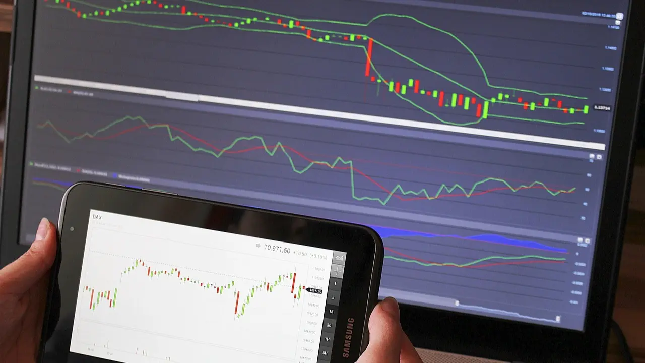 Pace Digitek IPO