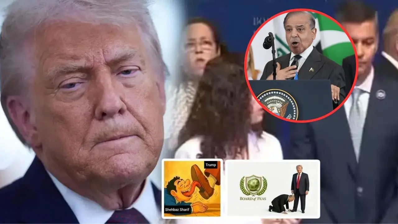 चापलूसी की हद पार कर गए पाकिस्तानी PM शहबाज शरीफ... गाजा शांति शिखर सम्मेलन में ट्रंप को लेकर कुछ ऐसा कह दिया, सोशल मीडिया पर हो गए ट्रोल Trump-Shehbaz