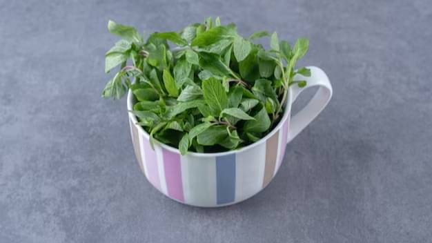 Description of the pic