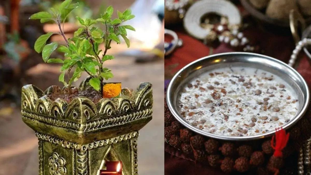 tulsi pujan diwas 2025 tulsi mata bhog panchamrit brings happiness and wealth in life