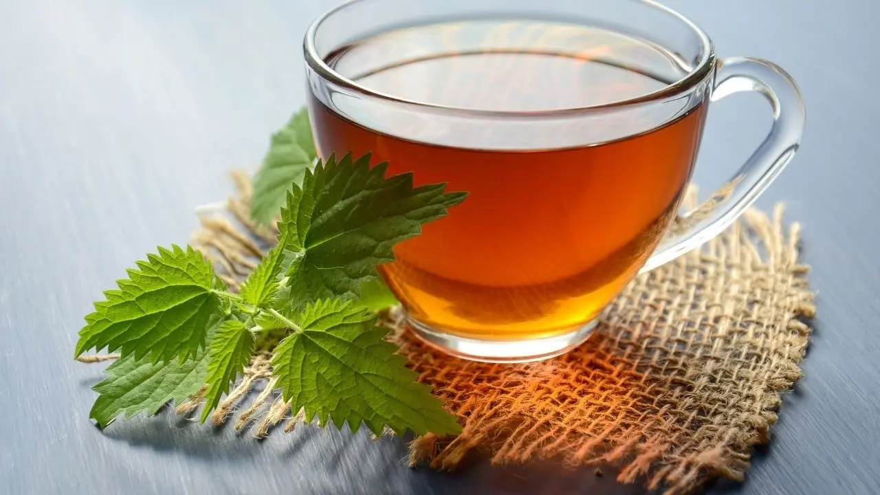 Tulsi Tea