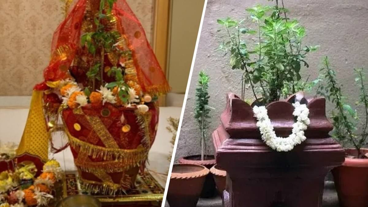 Tulsi Vivah 2025