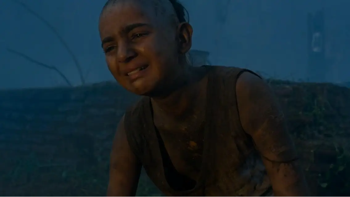 Description of the pic