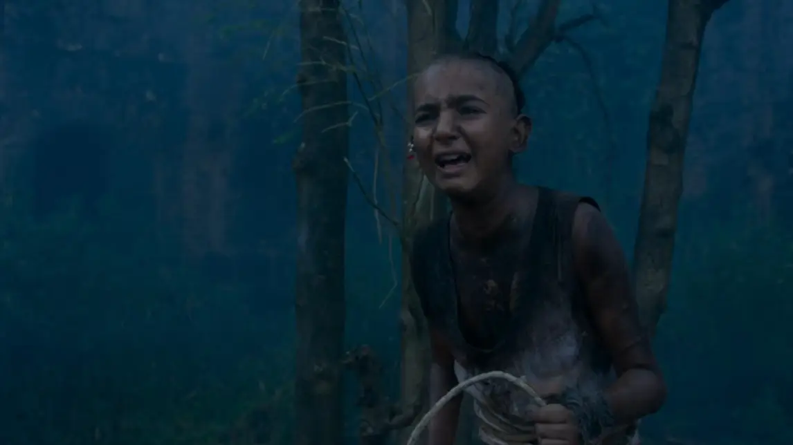 Description of the pic