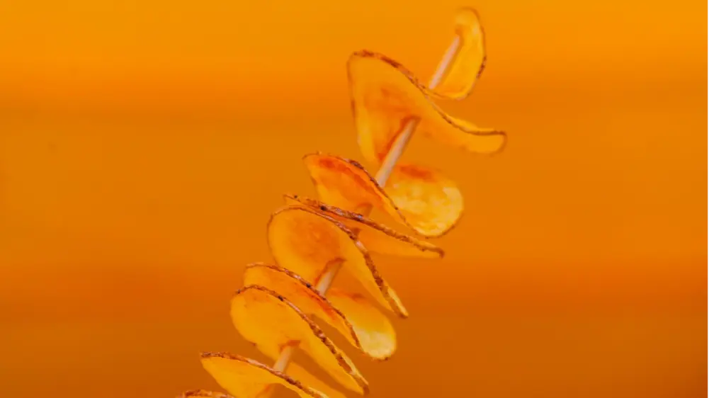 Rotato Potato: The Ultimate Cheesy Potato Fries On A Skewer Twisted Potato/Tornado Potato.