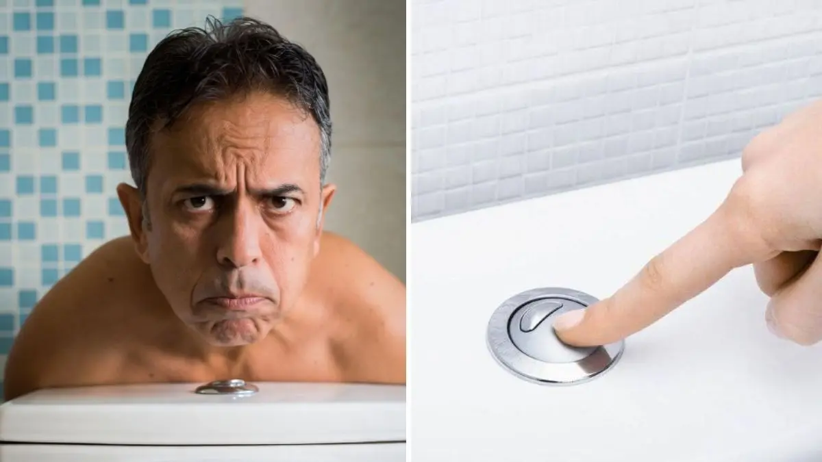 two flush buttons on the toilet