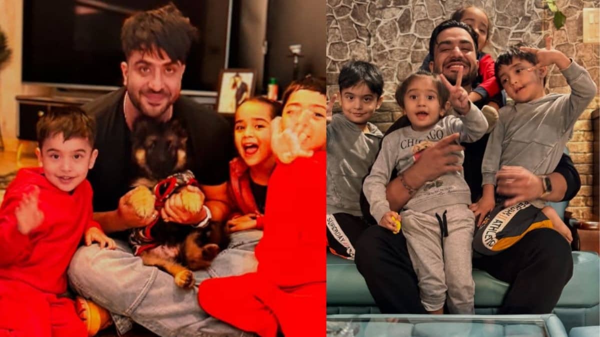 Description of the pic