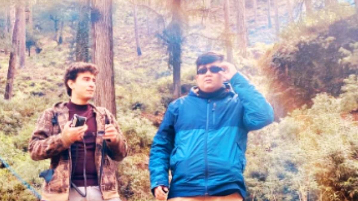 Description of the pic