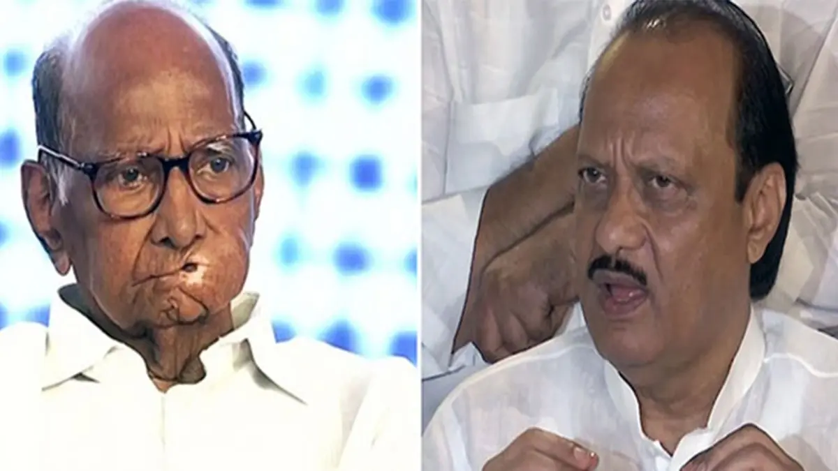 Uncle-Nephew To Reunite? 'You Will Get To Know...': Ajit Pawar Says; Gives Big Post-Election NCP Merger Hint