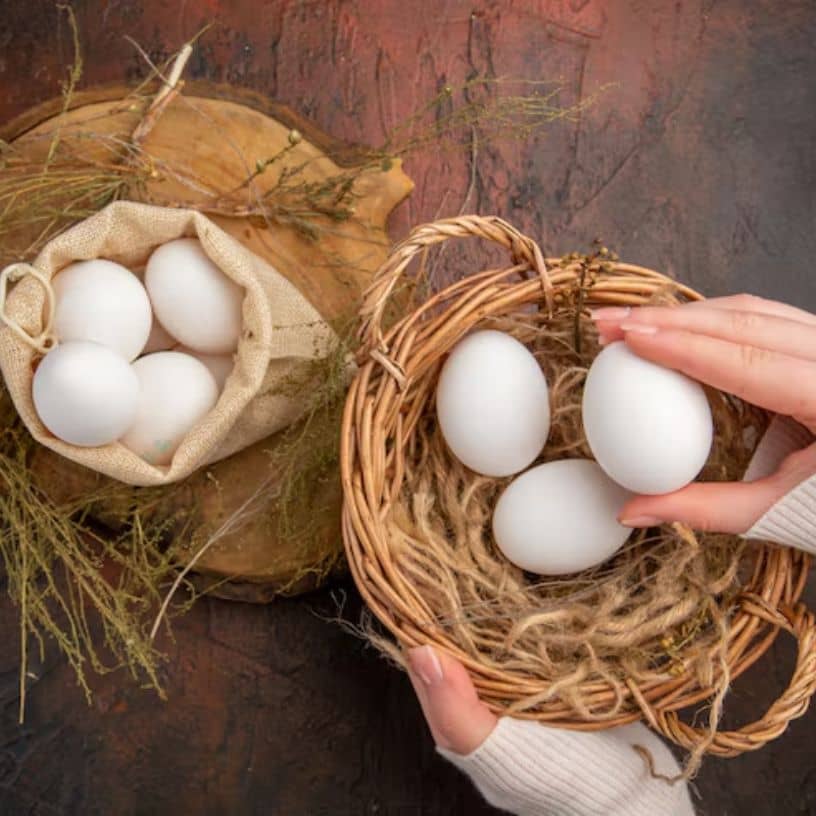 Description of the pic