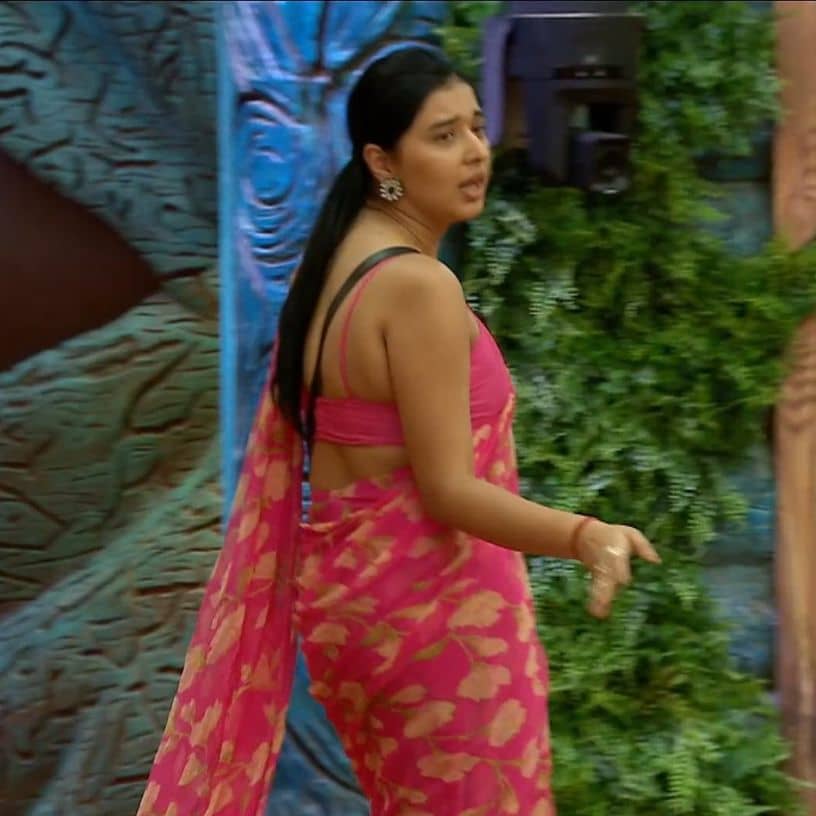 Description of the pic