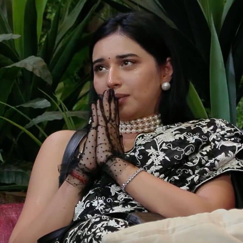 Description of the pic