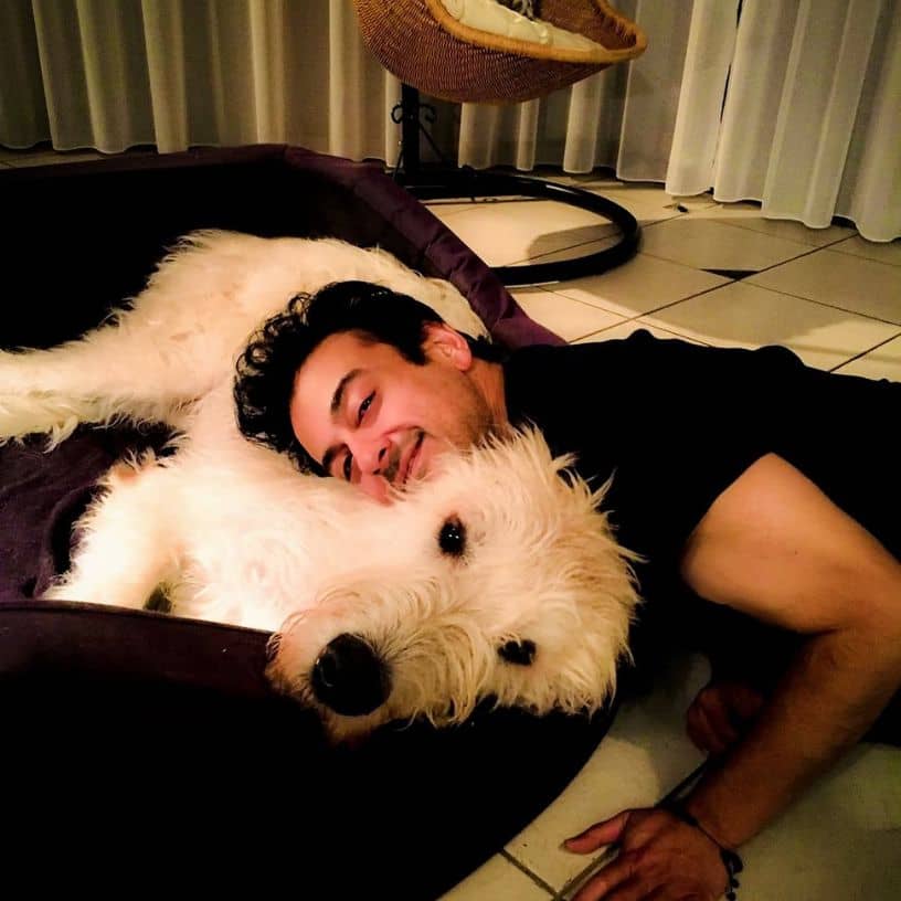 Description of the pic