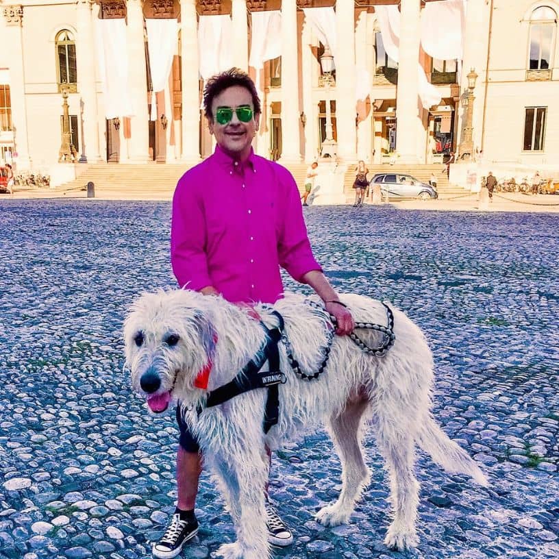 Description of the pic