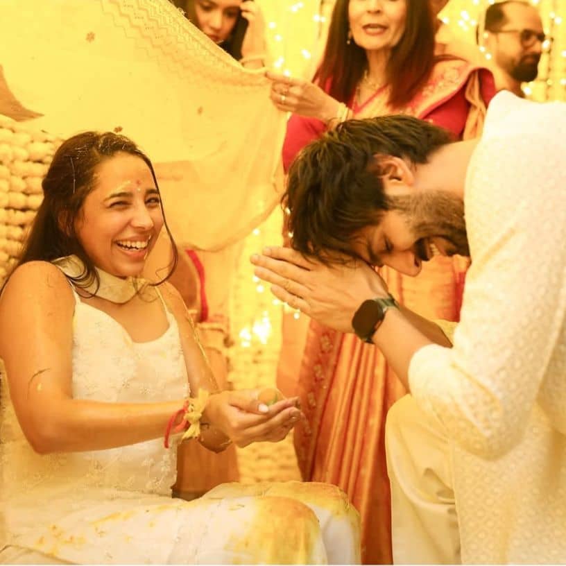 Description of the pic